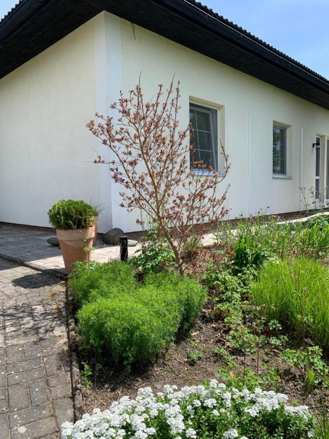 Studiovy Apartman V Zahrade Police nad Metují Екстериор снимка